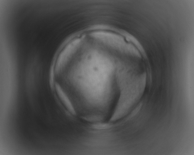 X0000100911199200807081117