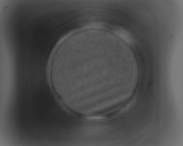 X0000100911200200807081117