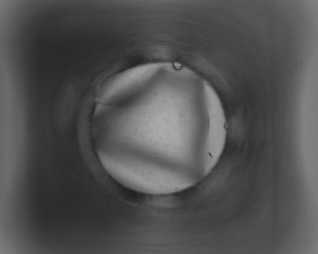X0000100911201200807081117