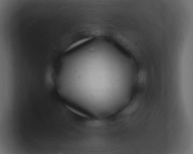 X0000100911202200807081117