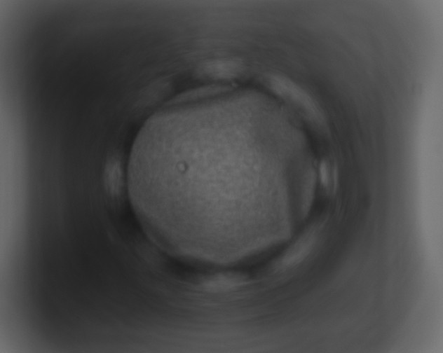 X0000100911203200807081117