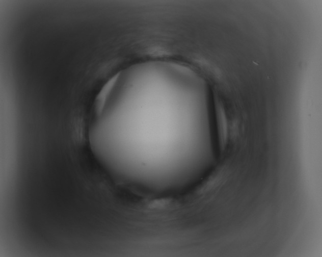 X0000100911205200807081117