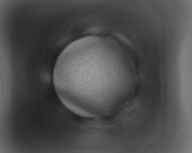 X0000100911206200807081117