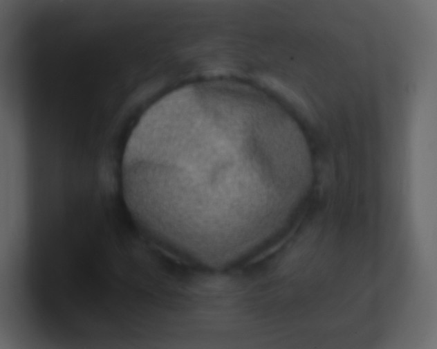 X0000100911207200807081117