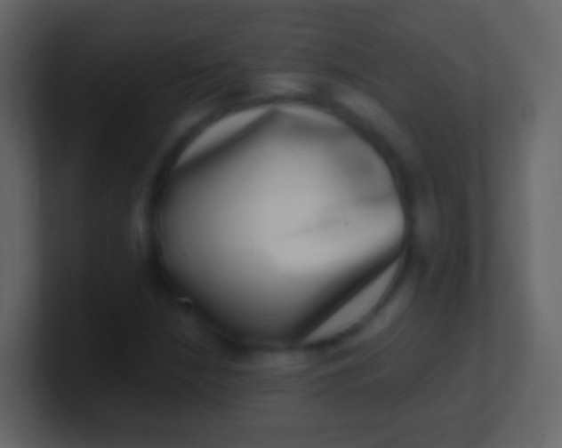 X0000100911210200807081117
