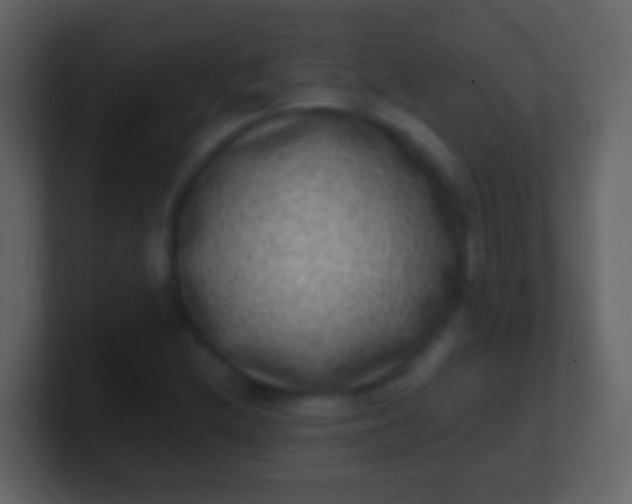 X0000100911212200807081117