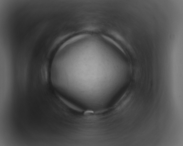 X0000100911214200807081117