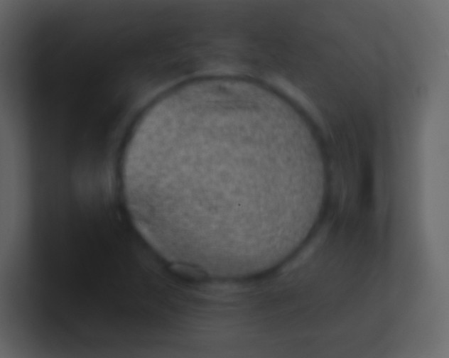 X0000100911215200807081117