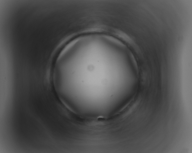X0000100911216200807081117