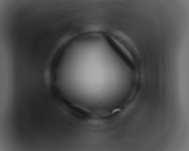 X0000100911218200807081117