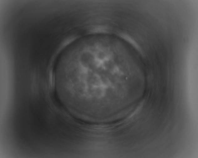 X0000100911219200807081117