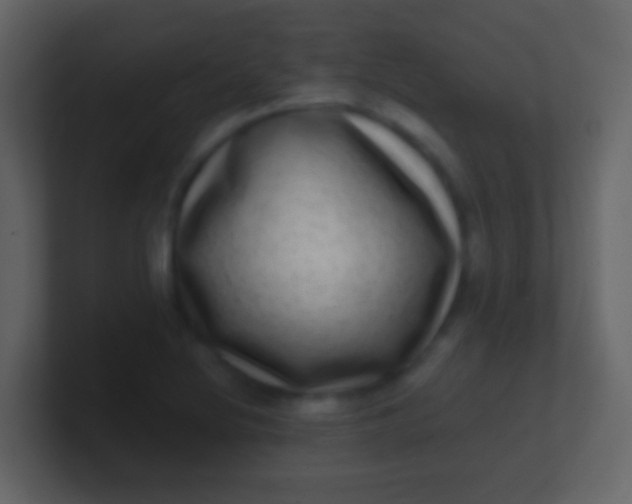 X0000100911220200807081117