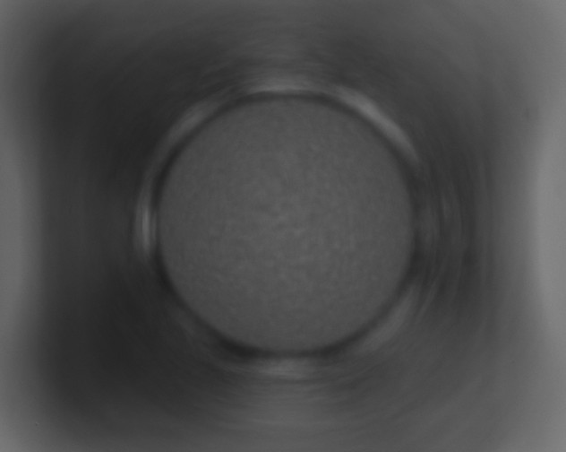 X0000100911221200807081117
