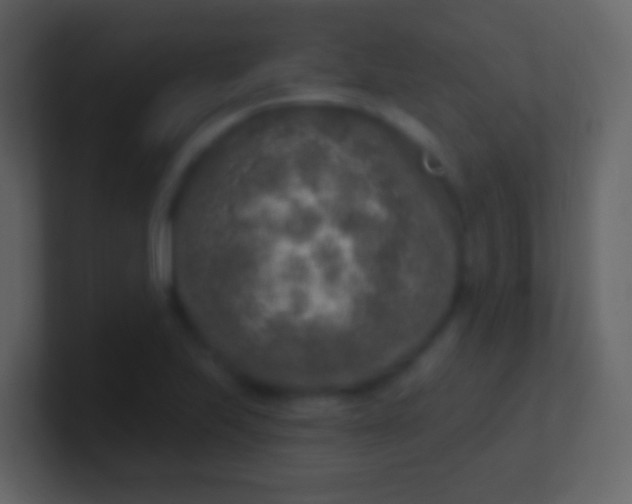 X0000100911223200807081117