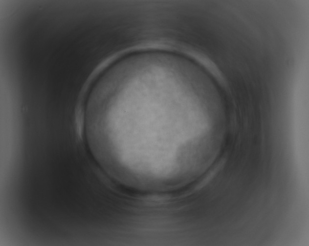 X0000100911224200807081117