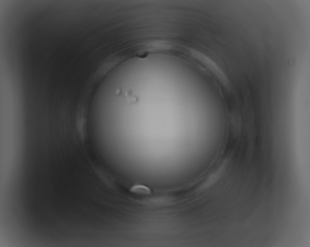 X0000100911225200807081117