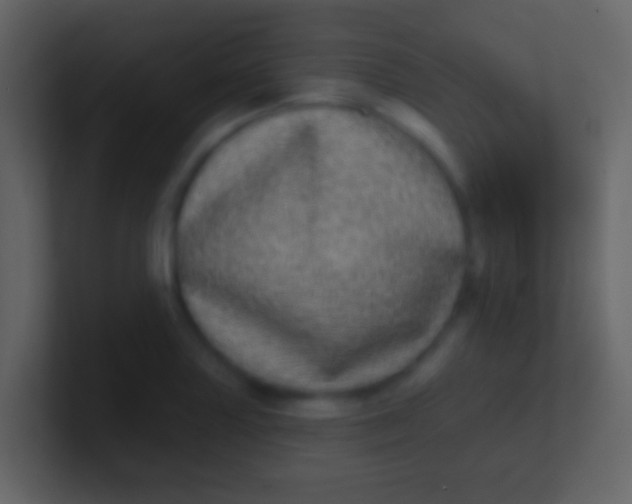 X0000100911227200807081117