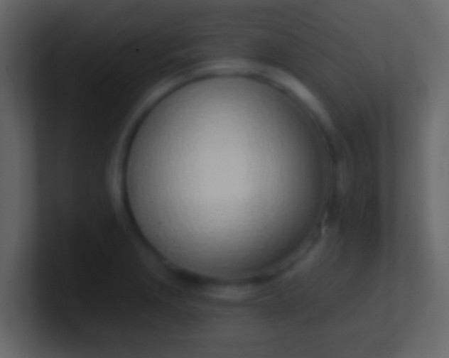 X0000100911229200807081117