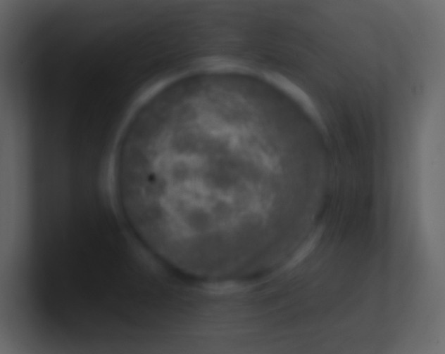 X0000100911231200807081117