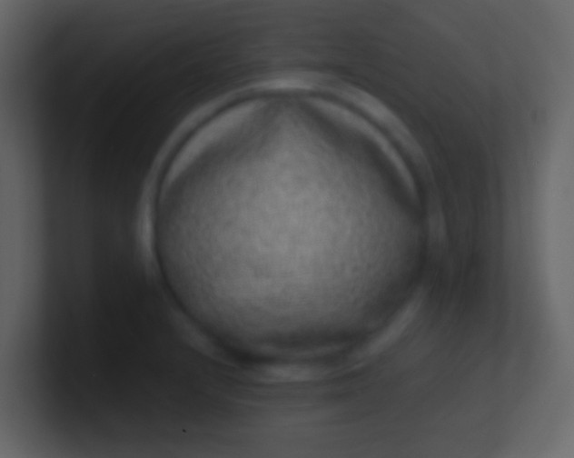 X0000100911232200807081117