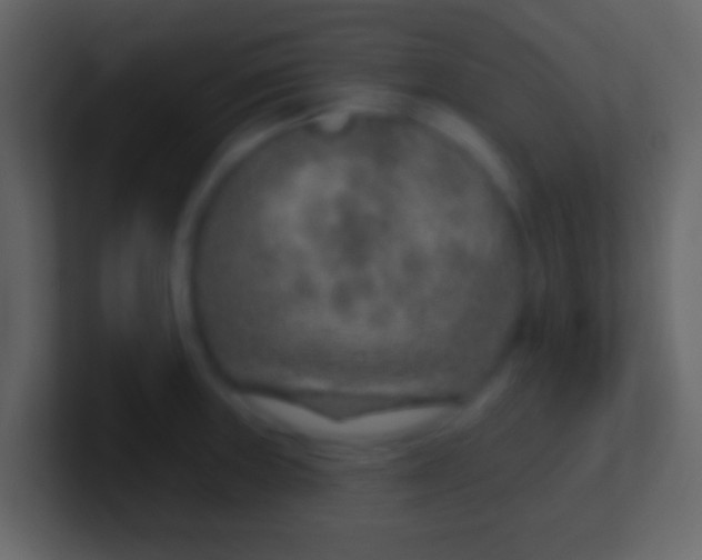 X0000100911235200807081117