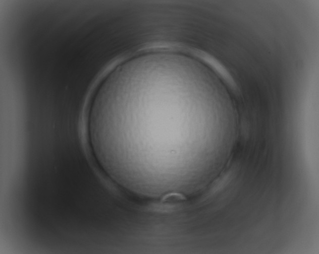 X0000100911237200807081117