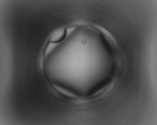 X0000100911238200807081117