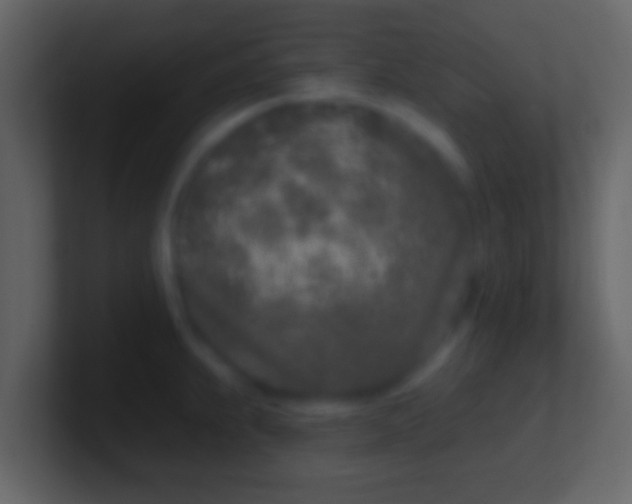 X0000100911239200807081117