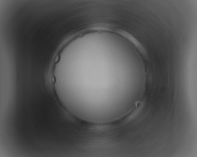 X0000100911240200807081117