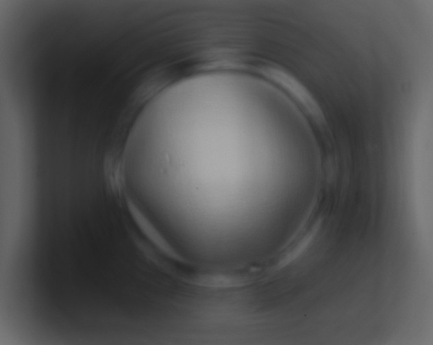 X0000100911241200807081117