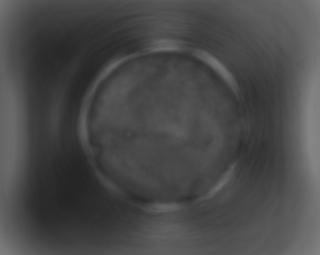 X0000100911243200807081117