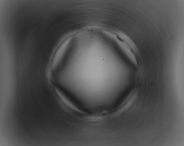X0000100911244200807081117
