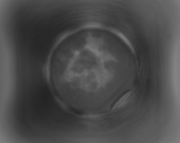 X0000100911245200807081117
