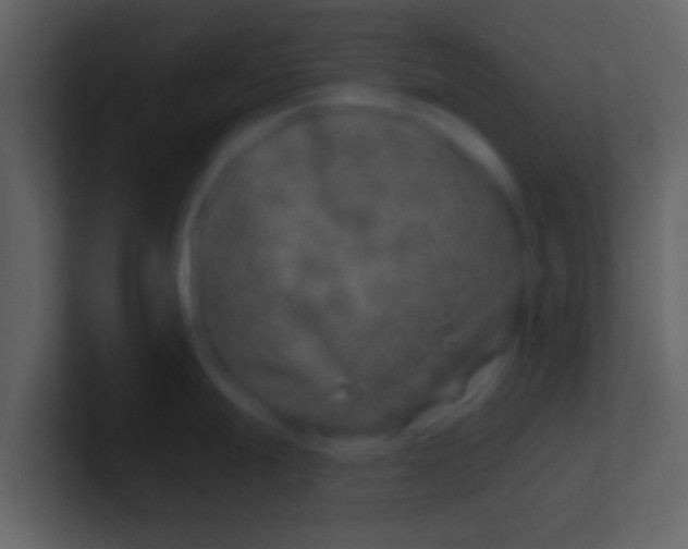 X0000100911247200807081117