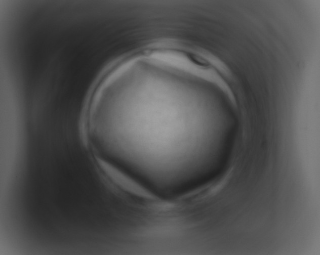 X0000100911248200807081117
