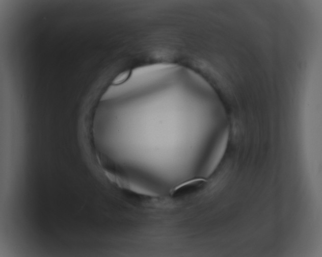 X0000100911249200807081117