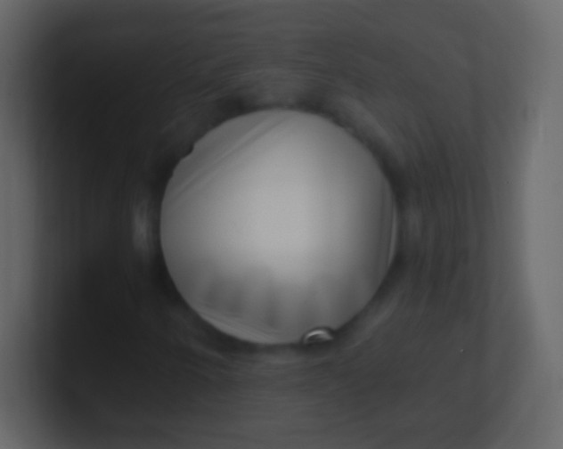 X0000100911250200807081117