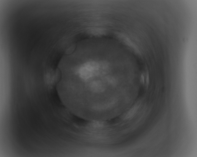 X0000100911251200807081117