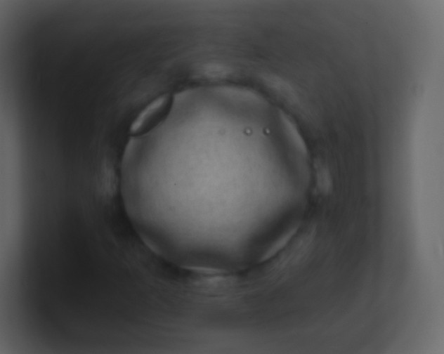 X0000100911253200807081117