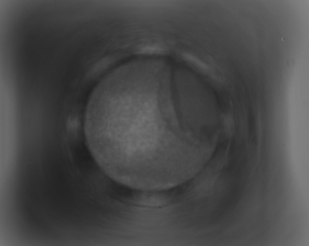 X0000100911254200807081117