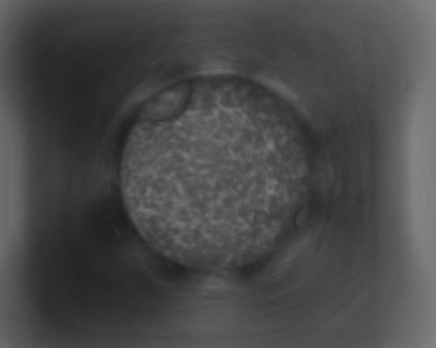 X0000100911255200807081117