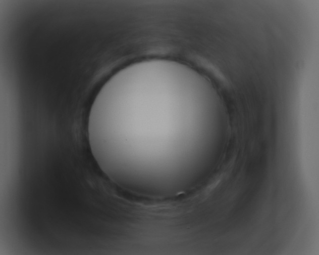 X0000100911256200807081117