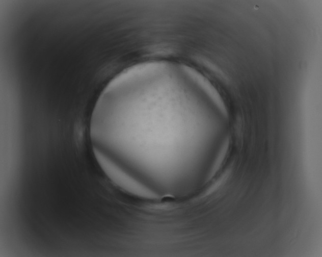X0000100911257200807081117