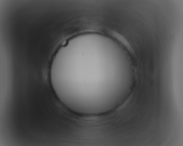 X0000100911260200807081117