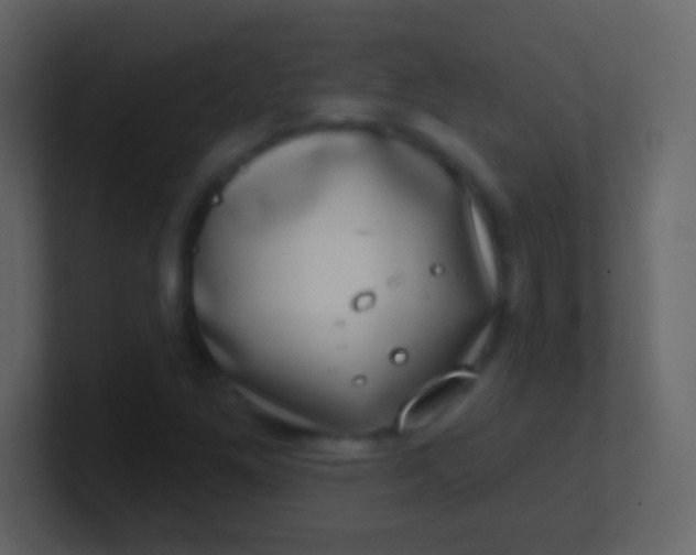 X0000100911261200807081117