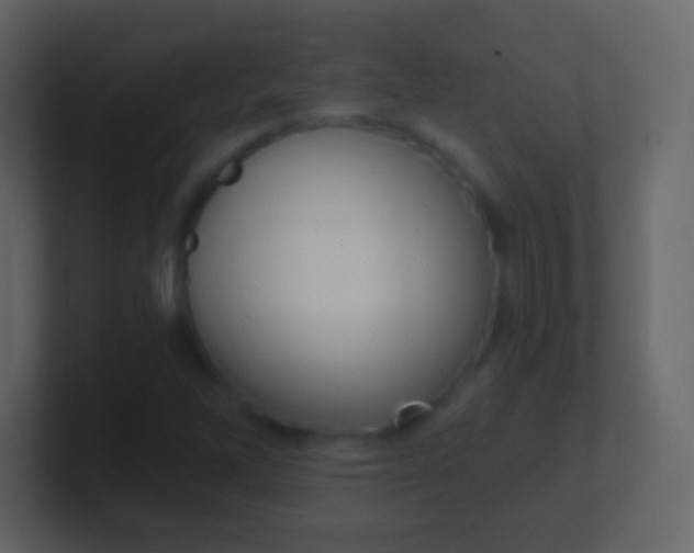 X0000100911262200807081117