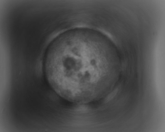 X0000100911263200807081116