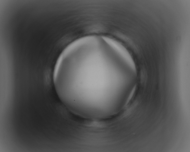 X0000100911265200807081116