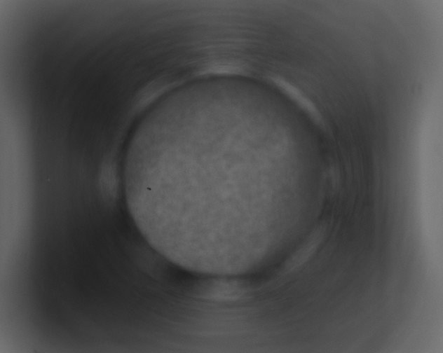 X0000100911266200807081116