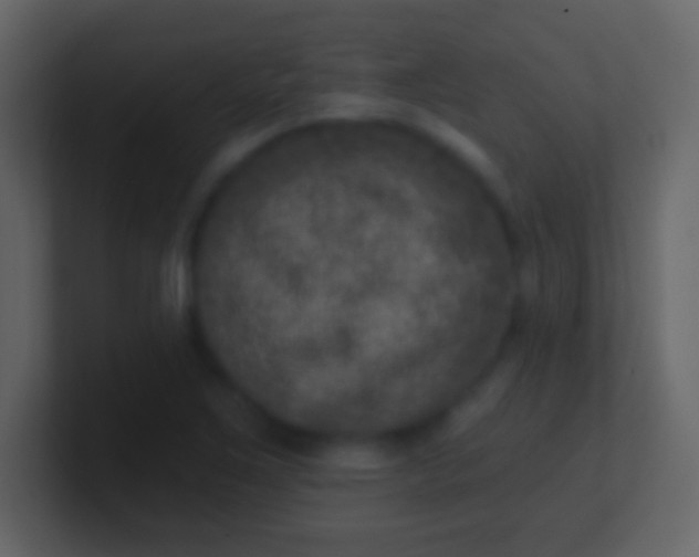 X0000100911267200807081116